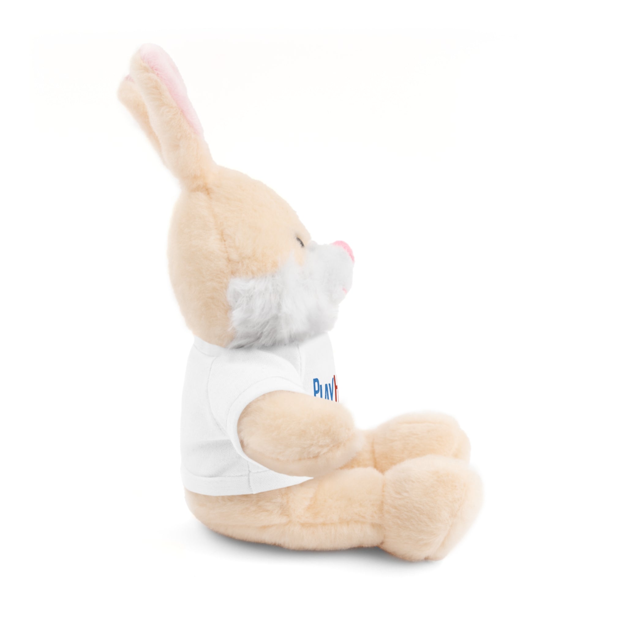 Customizable Stuffed Animal Gift, Plush Toy for Kids, PlayHero Bear with Tee, Birthday Present, Cuddle Buddy, Plush Decor